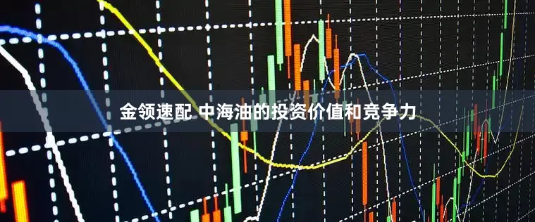 金领速配 中海油的投资价值和竞争力
