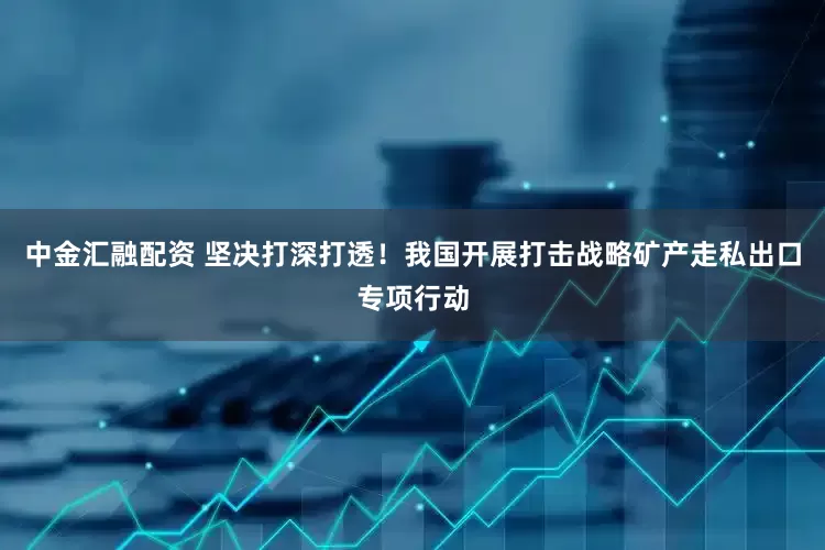 中金汇融配资 坚决打深打透！我国开展打击战略矿产走私出口专项行动