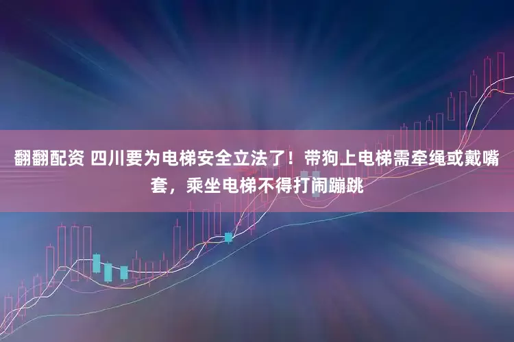 翻翻配资 四川要为电梯安全立法了！带狗上电梯需牵绳或戴嘴套，乘坐电梯不得打闹蹦跳