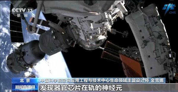富才配资 中国空间站完成空间生命科学在轨实验任务&#32;还刷新一项新纪录